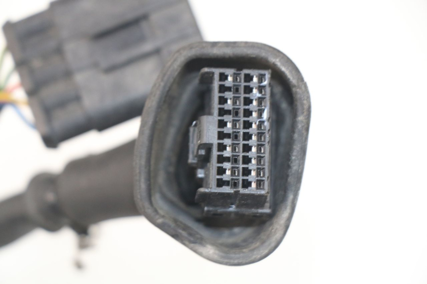 photo de Cablaggio MV AGUSTA BRUTALE R WALLY 910 (2008 - 2008) - Primo piano ad alta risoluzione