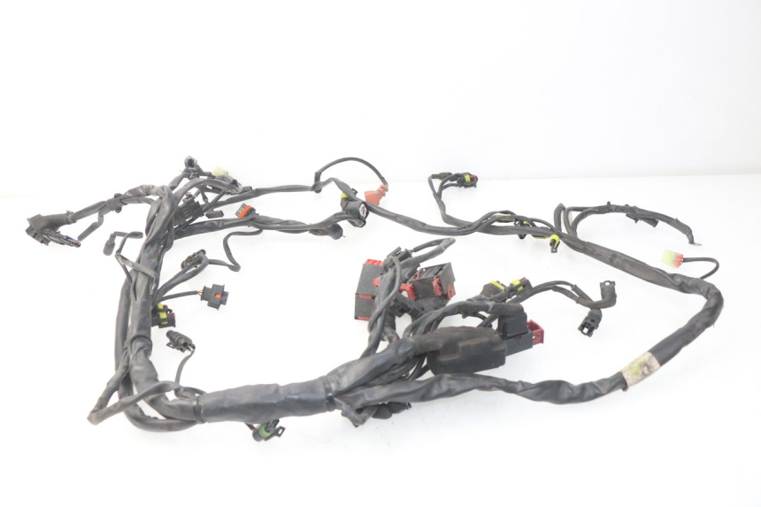 photo de Cablaggio MV AGUSTA BRUTALE R WALLY 910 (2008 - 2008) - Primo piano tecnico