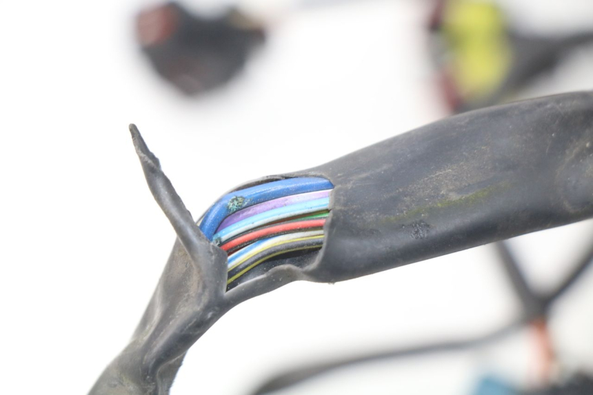 photo de Cablaggio MV AGUSTA BRUTALE R WALLY 910 (2008 - 2008) - Ricambio usato controllato