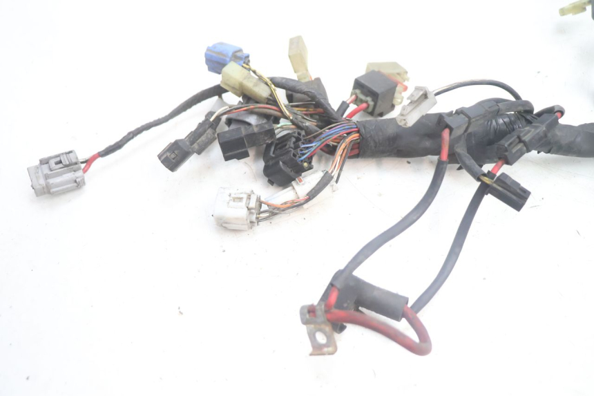 photo de IMPIANTO ELETTRICO SUZUKI BURGMAN EXECUTIVE ABS 650 (2006 - 2012) - Dettaglio del componente