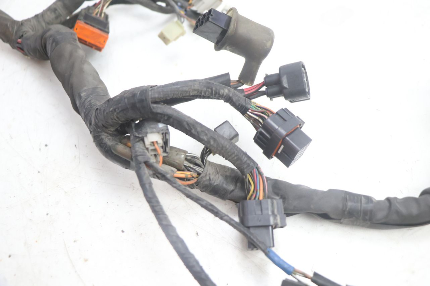 photo de IMPIANTO ELETTRICO SUZUKI BURGMAN EXECUTIVE ABS 650 (2006 - 2012) - Stato della superficie e materiale
