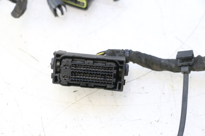 photo de Cablaggio BMW C SPORT 650 (2015 - 2021) - Altra vista dell'articolo