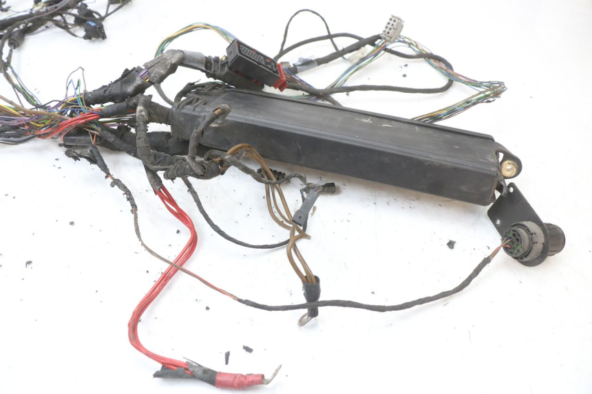 photo de FAISCEAU BMW C1 125 (2000 - 2003) - Marcature e riferimenti originali