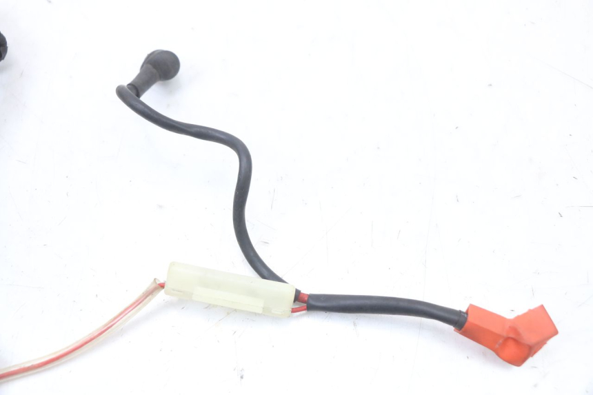 photo de IMPIANTO ELETTRICO ARCHIVE CAFE RACER 4T 50 (2019 - 2024) - Dettagli dei punti di fissaggio