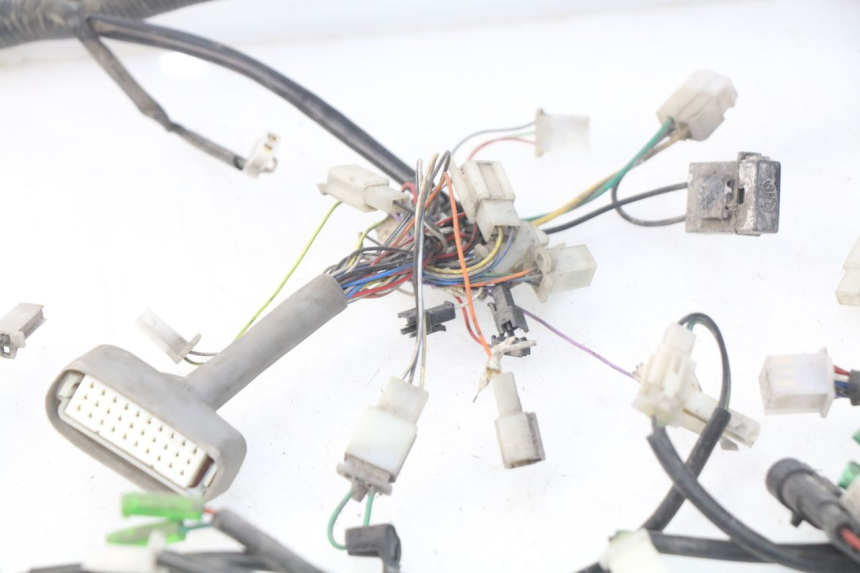 photo de Cablaggio ERIDER CARGO 1 (2009 - 2018) - Primo piano tecnico