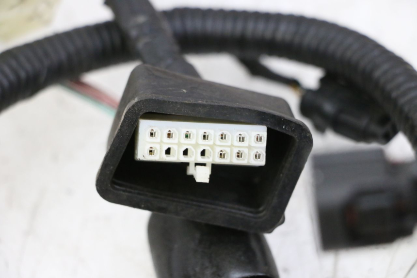 photo de FAISCEAU ORCAL CAVARO 4T 50 (2019 - 2023) - Zoom sullo stato d'uso