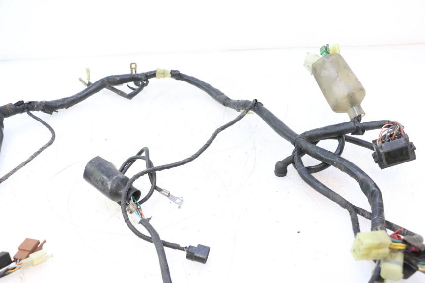 photo de IMPIANTO ELETTRICO HONDA CB F HORNET 600 (2005 - 2006) - Dettaglio del componente