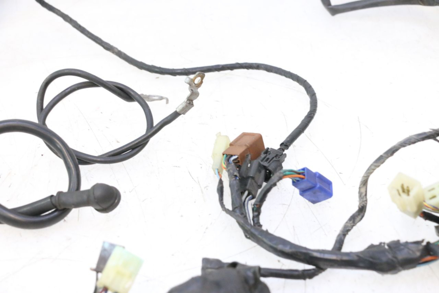 photo de IMPIANTO ELETTRICO HONDA CB F HORNET 600 (2005 - 2006) - Altra vista dell'articolo