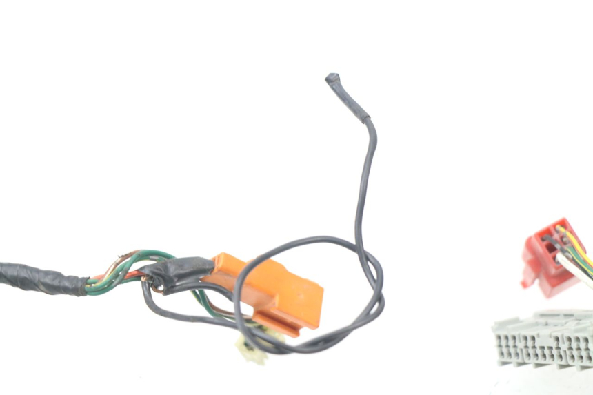 photo de IMPIANTO ELETTRICO HONDA CBR 929 RR FIREBLADE 900 (2000 - 2001) - Caratteristiche distintive