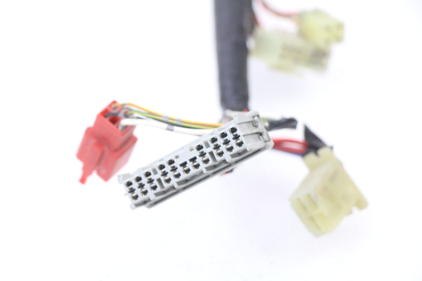 photo de IMPIANTO ELETTRICO HONDA CBR 929 RR FIREBLADE 900 (2000 - 2001) - Primo piano ad alta risoluzione