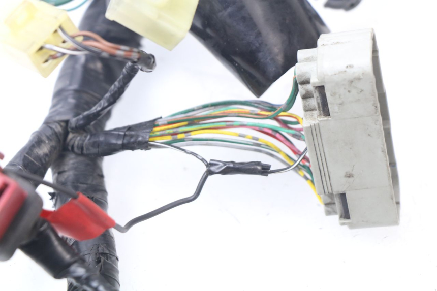 photo de IMPIANTO ELETTRICO HONDA CBR 929 RR FIREBLADE 900 (2000 - 2001) - Ricambio usato controllato