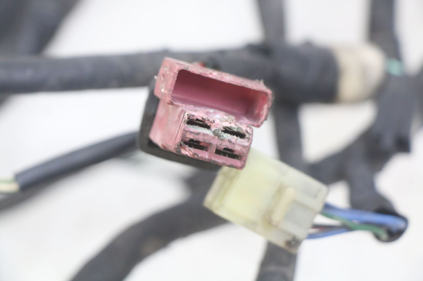 photo de FAISCEAU HONDA CBR F SC25 1000 (1989 - 1992) - Dettaglio del componente