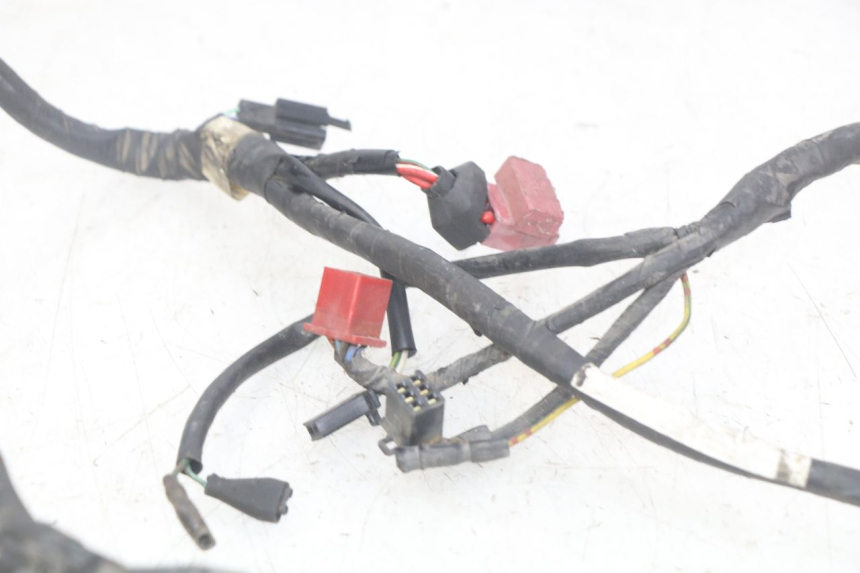 photo de FAISCEAU HONDA CBR F SC25 1000 (1989 - 1992) - Ricambio usato controllato