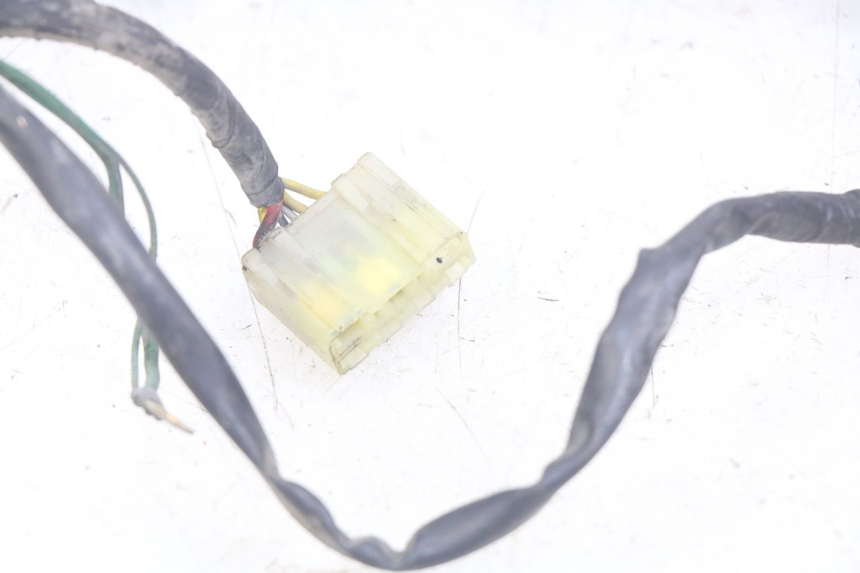 photo de FAISCEAU HONDA CBR F SC25 1000 (1989 - 1992) - Marcature e riferimenti originali