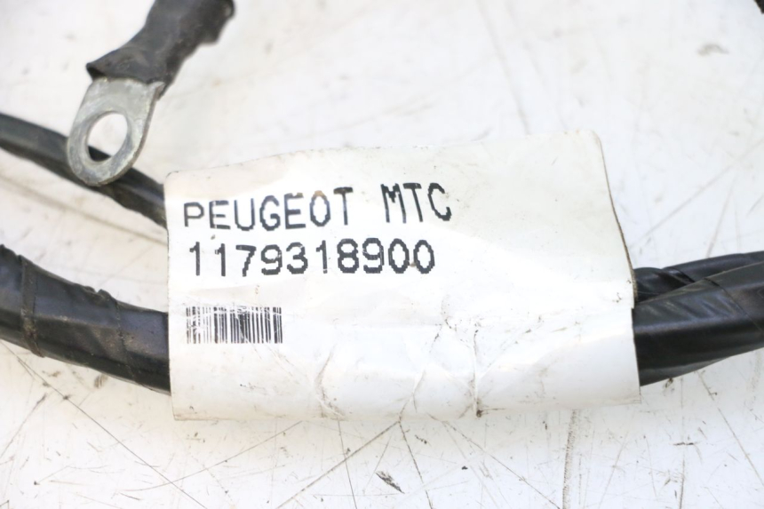 photo de FAISCEAU PEUGEOT CITYSTAR 2T 50 (2018 - 2021) - Altra angolazione