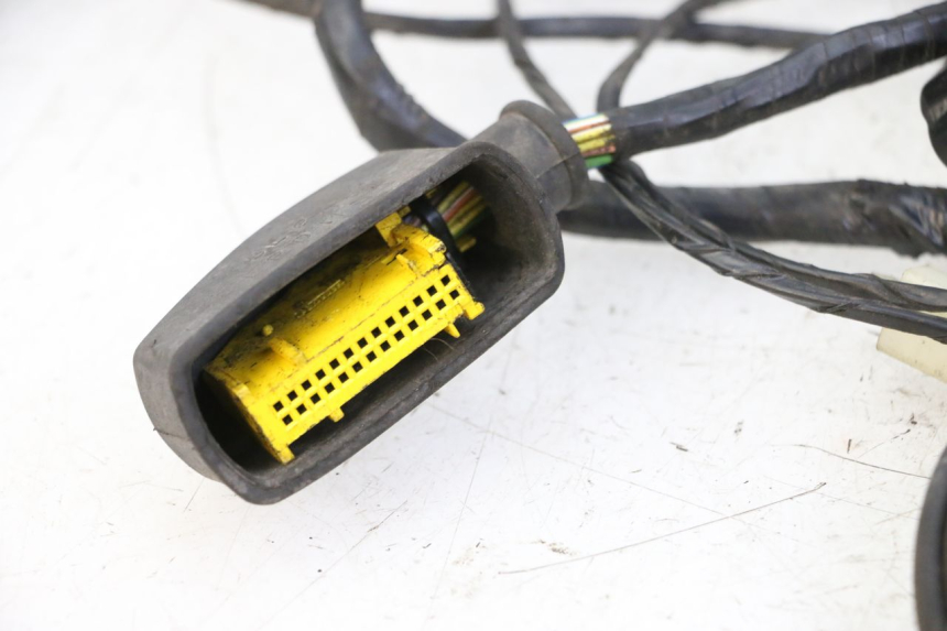 photo de FAISCEAU PEUGEOT CITYSTAR 50 (2013 - 2017) - Vista d'insieme del prodotto