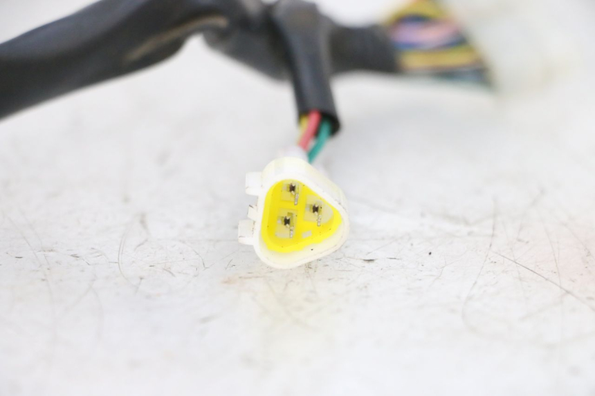 photo de STRUMENTI CABLAGGIO MAG POWER BOMBERS 4T 50 (2016 - 2026) - Altra angolazione