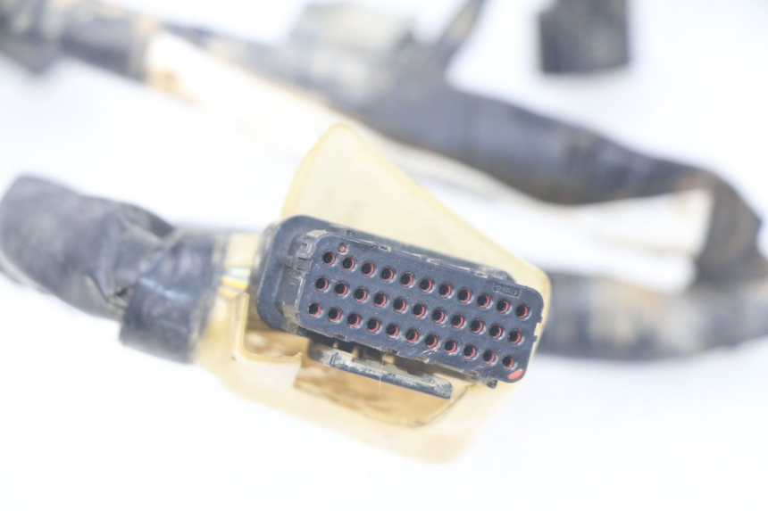 photo de FAISCEAU HONDA CRF 250 (2013 - 2016) - Primo piano tecnico