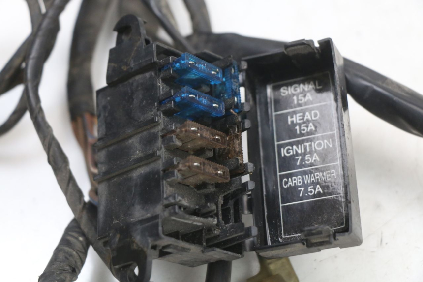 photo de FAISCEAU YAMAHA CYGNUS X 125 (2004 - 2007) - Marcature e riferimenti originali