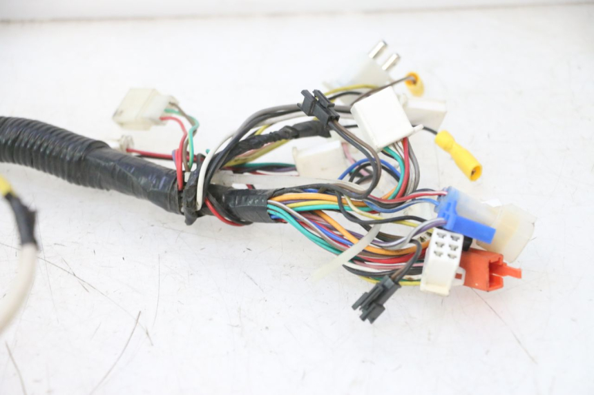 photo de IMPIANTO ELETTRICO WAYSCRAL E-START 1 (2018 - 2022) - Dettaglio del componente
