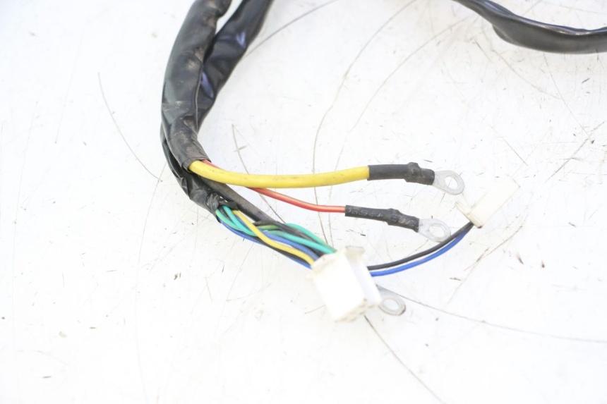 photo de IMPIANTO ELETTRICO WAYSCRAL E-START 1 (2018 - 2022) - Caratteristiche distintive