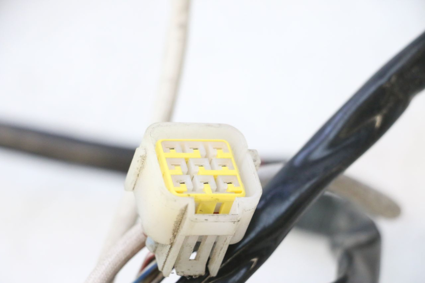 photo de IMPIANTO ELETTRICO WAYSCRAL E-START 1 (2018 - 2022) - Altra angolazione