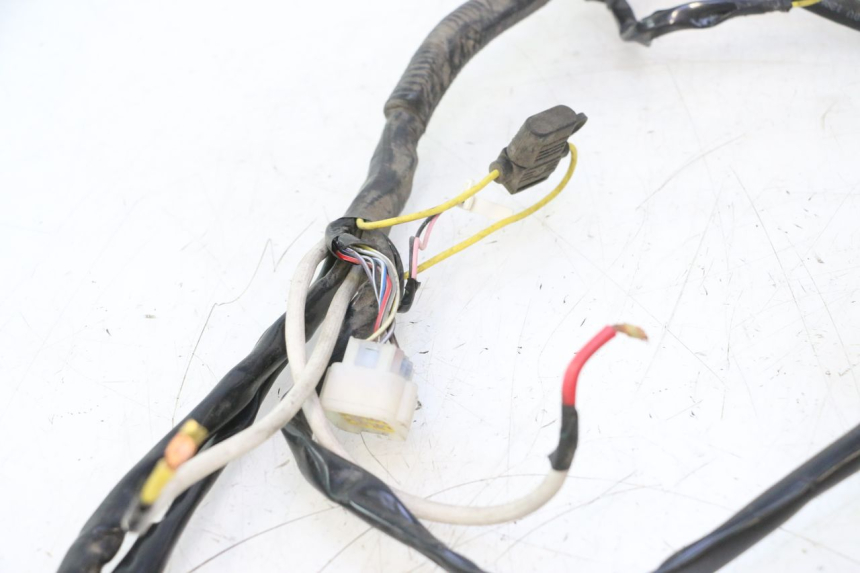 photo de IMPIANTO ELETTRICO WAYSCRAL E-START 1 (2018 - 2022) - Ricambio usato controllato