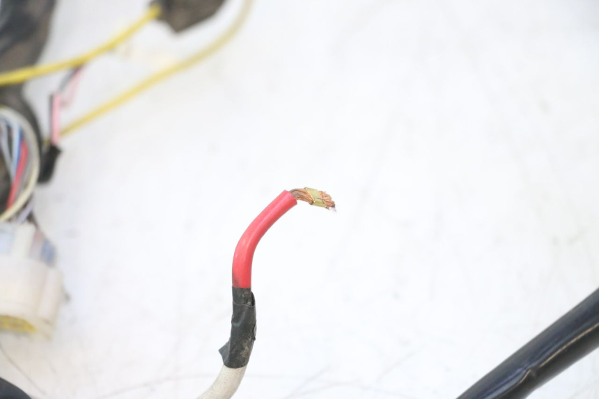 photo de IMPIANTO ELETTRICO WAYSCRAL E-START 1 (2018 - 2022) - Marcature e riferimenti originali