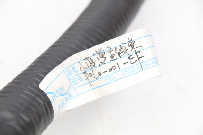 photo de FAISCEAU EFUN E2GO 1 (2017 - 2021) - Ricambio usato controllato