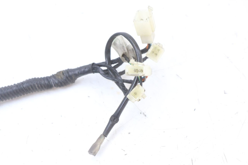 photo de IMPIANTO ELETTRICO LONGJIA EASY MAX 125 (2020 - 2024) - Dettaglio del componente