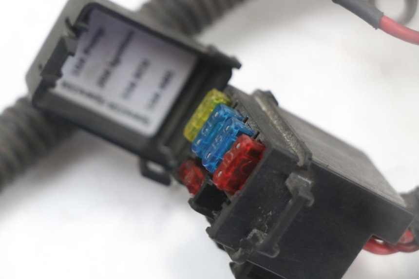 photo de IMPIANTO ELETTRICO LONGJIA EASY MAX 125 (2020 - 2024) - Caratteristiche distintive