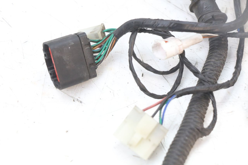 photo de IMPIANTO ELETTRICO LONGJIA EASY MAX 125 (2020 - 2024) - Vista d'insieme del prodotto