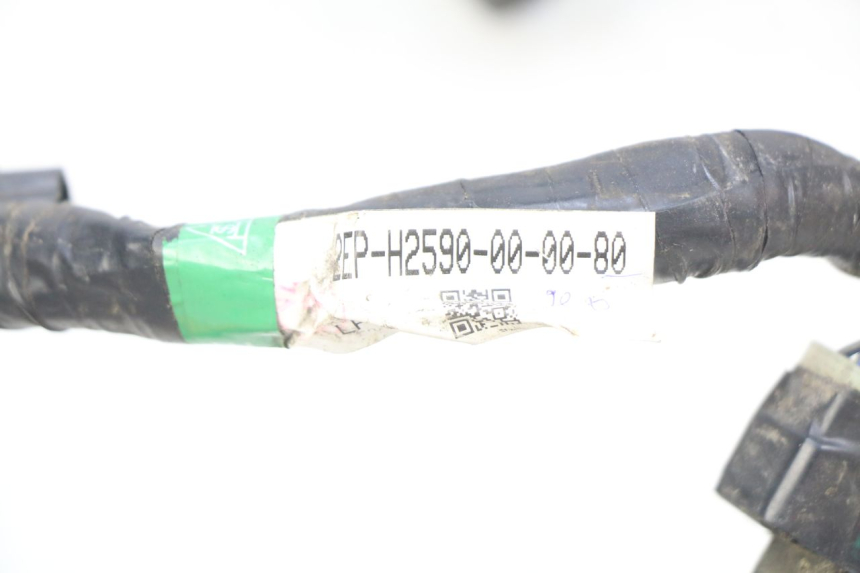 photo de FAISCEAU YAMAHA D'ELIGHT DELIGHT 115 (2013 - 2017) - Primo piano tecnico