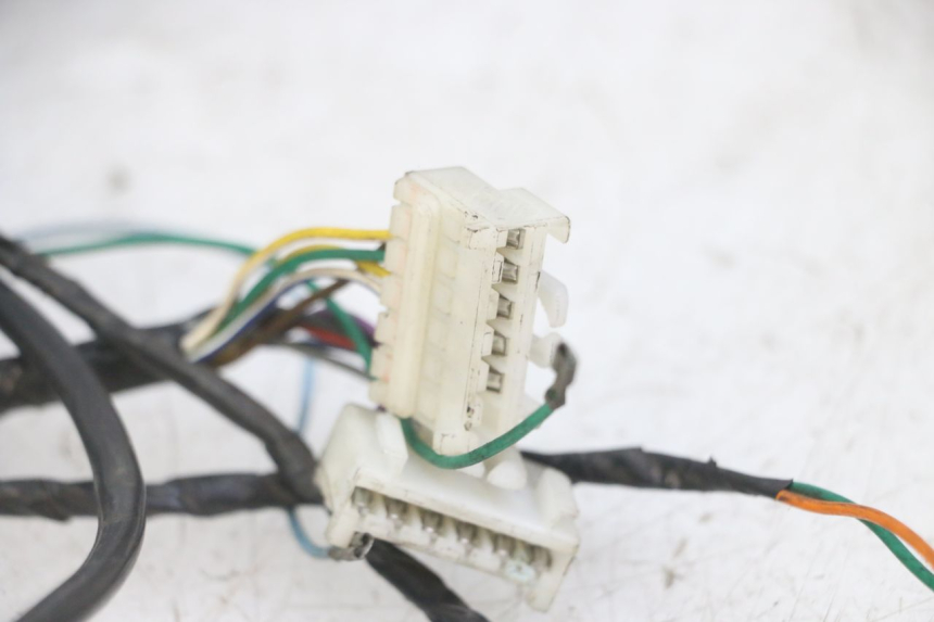 photo de IMPIANTO ELETTRICO PEUGEOT ELYSEO 125 (1999 - 2004) - Altra vista dell'articolo