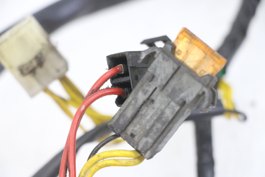 photo de IMPIANTO ELETTRICO PEUGEOT ELYSEO 125 (1999 - 2004) - Primo piano tecnico