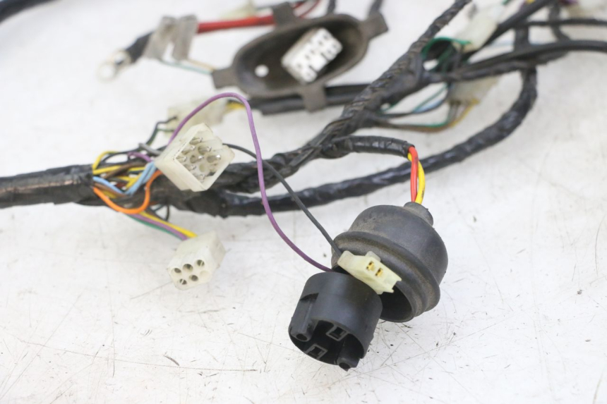 photo de IMPIANTO ELETTRICO PEUGEOT ELYSEO 125 (1999 - 2004) - Marcature e riferimenti originali