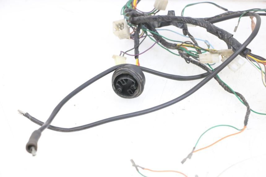 photo de IMPIANTO ELETTRICO PEUGEOT ELYSEO 125 (1999 - 2004) - Ispezione visiva dettagliata