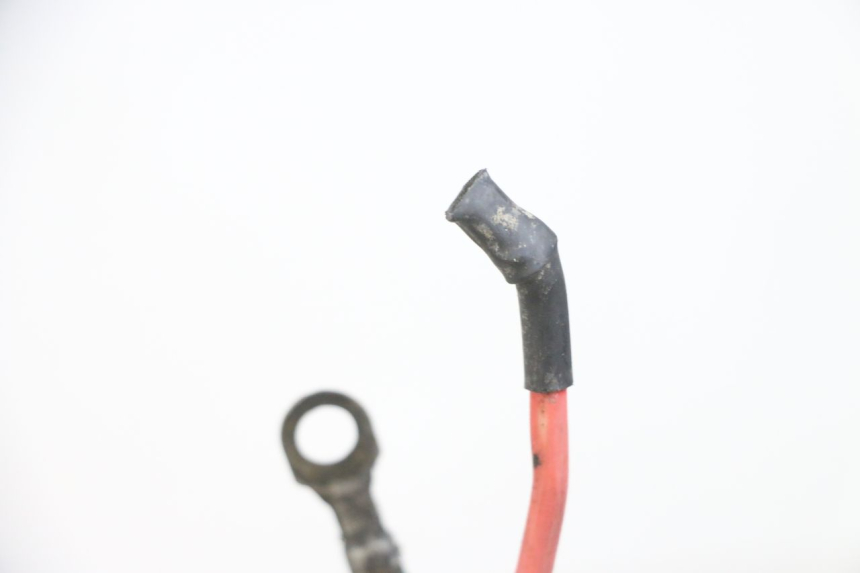 photo de IMPIANTO ELETTRICO PEUGEOT ELYSEO 125 (1999 - 2004) - Altra angolazione