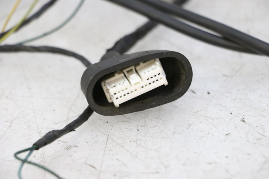 photo de FAISCEAU PEUGEOT ELYSTAR 50 (2002 - 2014) - Primo piano tecnico