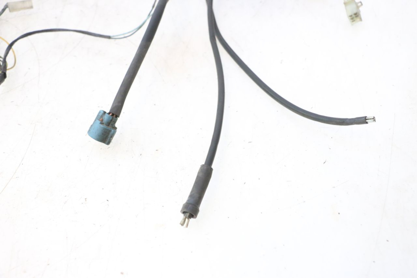 photo de FAISCEAU PEUGEOT ELYSTAR 50 (2002 - 2014) - Primo piano tecnico