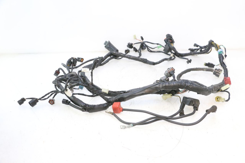 photo de IMPIANTO ELETTRICO KAWASAKI ER-6 ER6 N 650 (2005 - 2009) - Dettagli dei punti di fissaggio