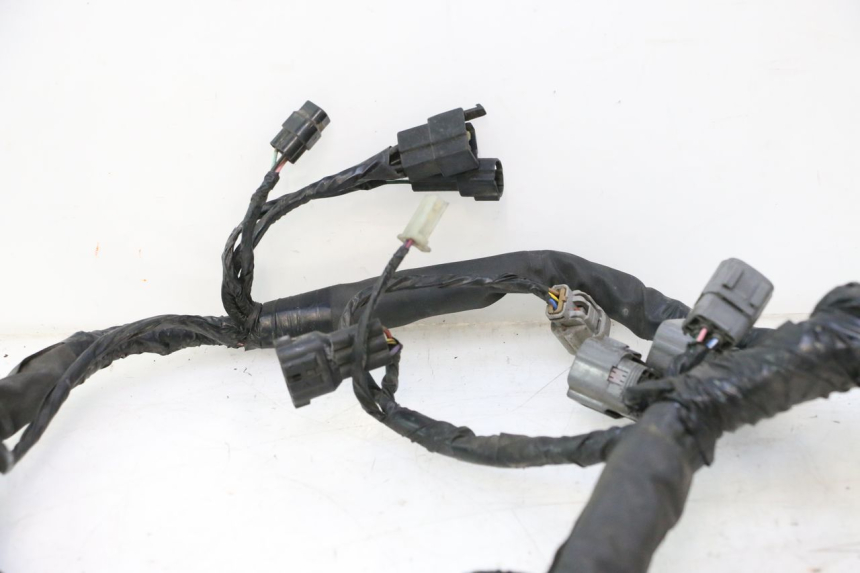 photo de IMPIANTO ELETTRICO KAWASAKI ER-6 ER6 N 650 (2005 - 2009) - Primo piano ad alta risoluzione