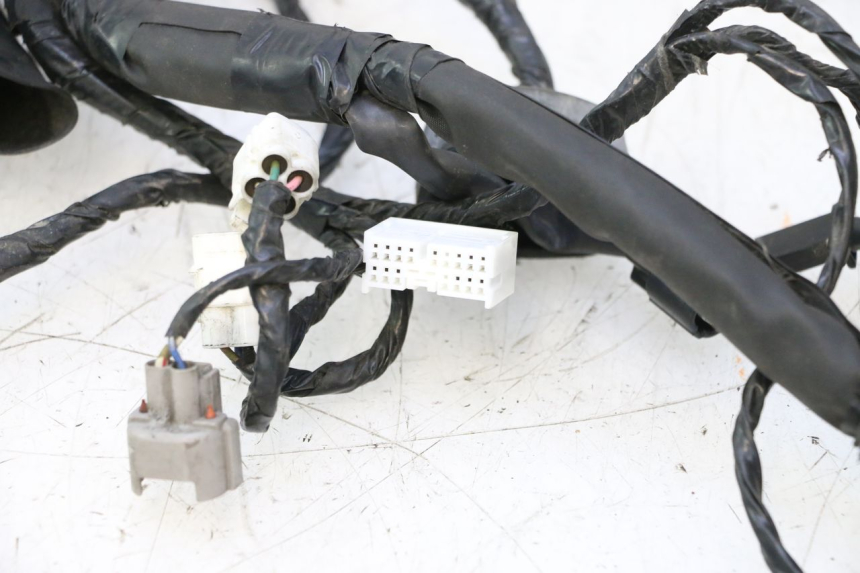 photo de IMPIANTO ELETTRICO KAWASAKI ER-6 ER6 N 650 (2005 - 2009) - Focus sulla struttura