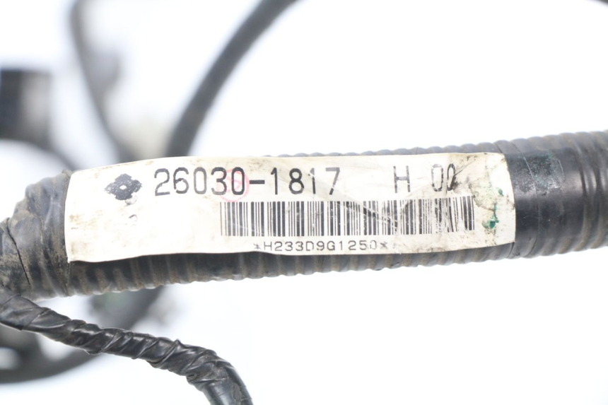 photo de IMPIANTO ELETTRICO KAWASAKI ER5 ER-5 500 (2001 - 2004) - Dettaglio del componente