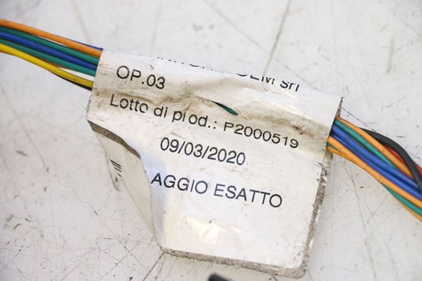 photo de IMPIANTO ELETTRICO ASKOLL ESPRO 1 - Dettaglio del componente