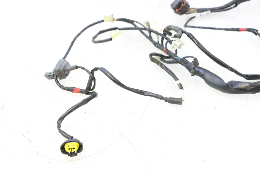 photo de IMPIANTO ELETTRICO ASKOLL ESPRO 1 - Caratteristiche distintive