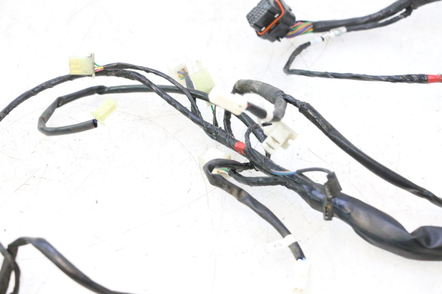 photo de IMPIANTO ELETTRICO ASKOLL ESPRO 1 - Zoom sui componenti