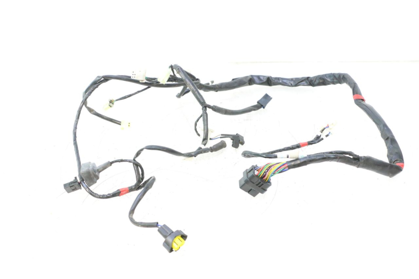 photo de IMPIANTO ELETTRICO ASKOLL ESPRO 1 - Foto prodotto supplementare