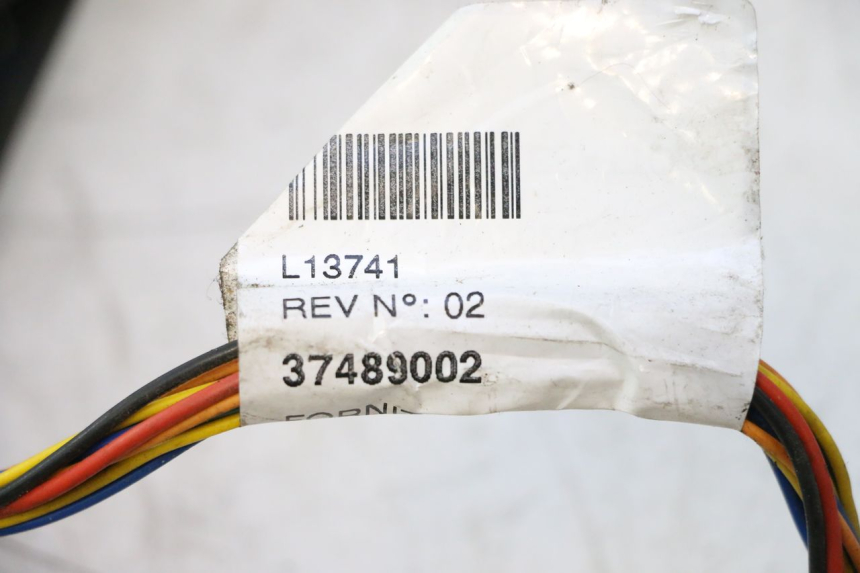 photo de IMPIANTO ELETTRICO ASKOLL ESPRO 1 - Zoom sullo stato d'uso
