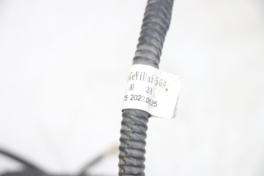 photo de FAISCEAU JM MOTORS EVOLIS 4T 50 (2018 - 2022) - Dettaglio del componente